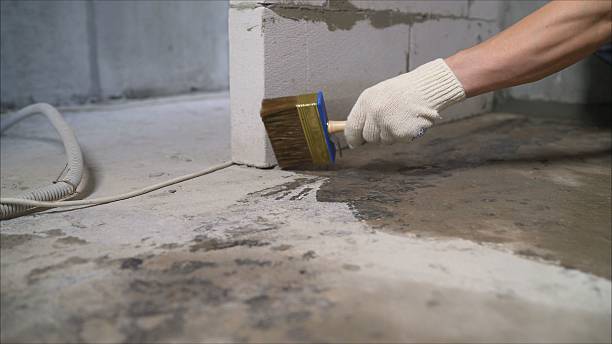 SJ Waterproofing Pros Waterproofing coverage map for Woodstock, OH and surrounding area